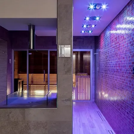 Smy Carlos V Wellness & 5*