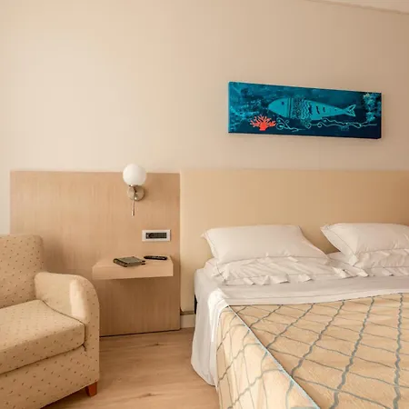 Smy Carlos V Wellness & 5*